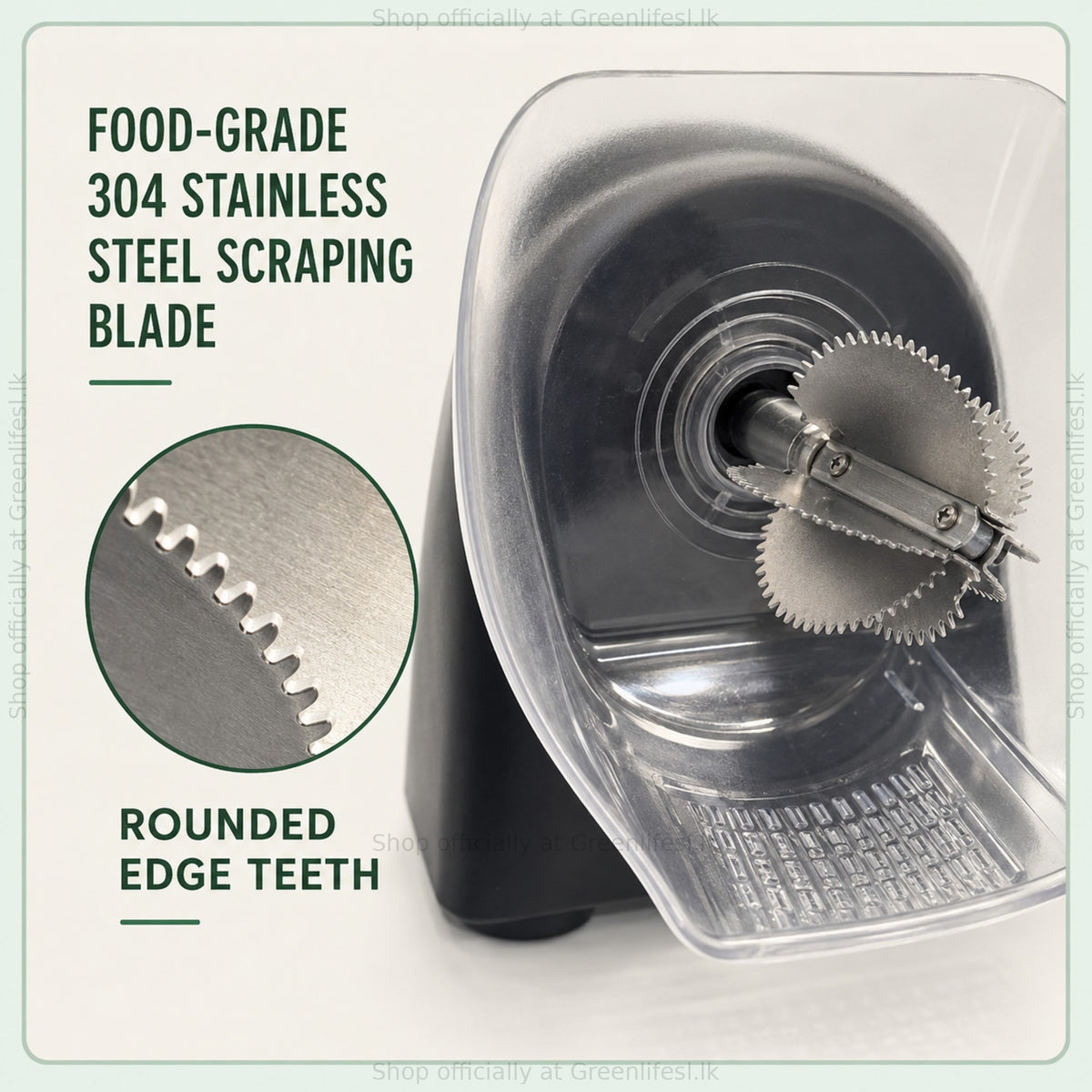 Brewine 2-in-1 coconut scraper and citrus press food-grade 304 stainless steel scraping blade with rounded teeth